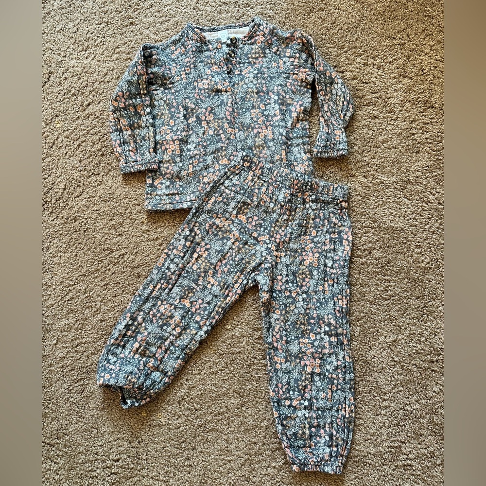 Lou Lou and Company Girls' Floral Grey and Pink Cotton Set 2T